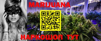 сатива Славгород