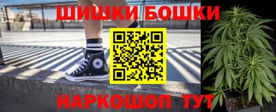 сатива Славгород