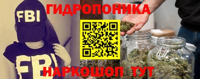 сатива Славгород