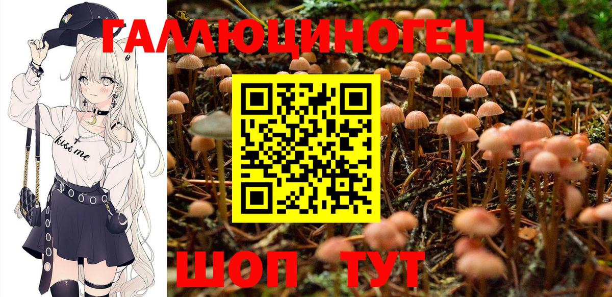 Рязань  Псилоцибиновые грибы MAGIC MUSHROOMS  купить   Псилоцибиновые грибы Magic Shrooms  Вход с VPN 
