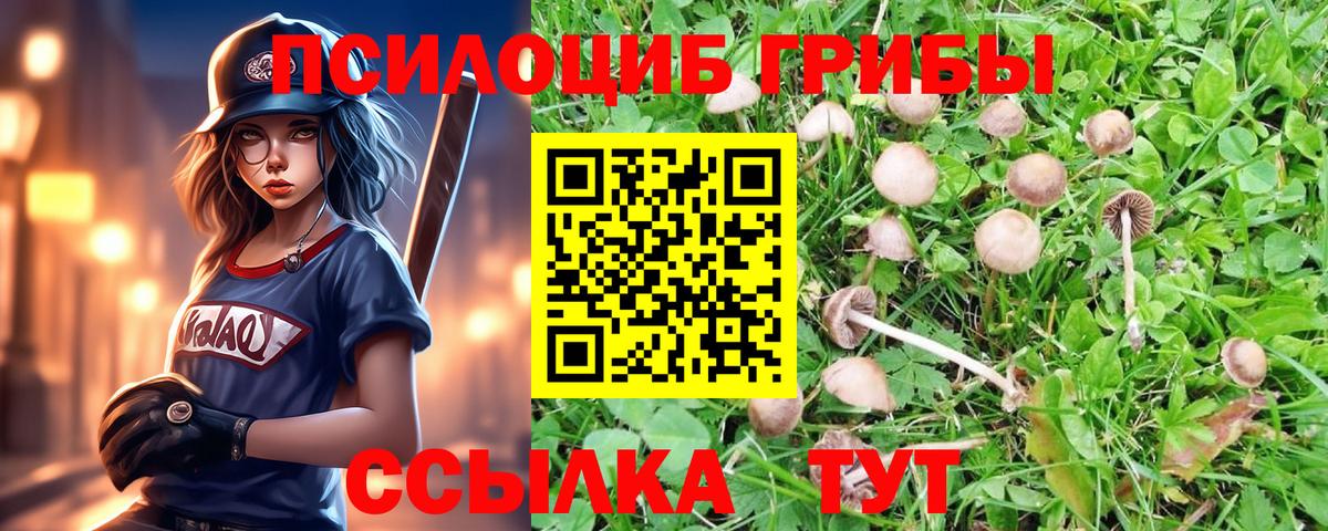 Каннабис  LSD-25  Вход с VPN  Мефедрон кристаллы  Рязань  Гашиш  Экстази  Гашиш 