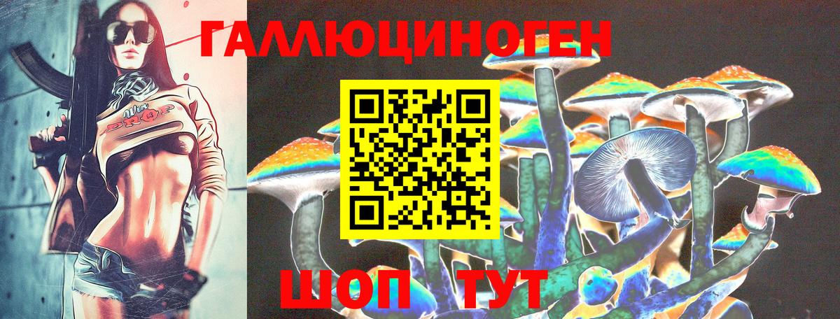 Галлюциногенные грибы Psilocybine cubensis Рязань